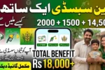 how to get 14500+2000+1500 Payment - Check 8171 BISP, Petrol and Farmer Subsidy Eligibility